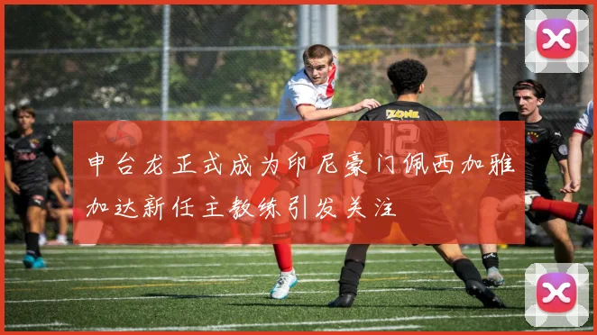 申台龙正式成为印尼豪门佩西加雅加达新任主教练引发关注