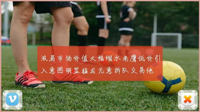 浓眉市场价值大幅缩水老鹰低价引入意图明显猛龙无意拆队交易他