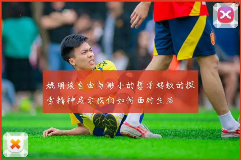 姚明谈自由与渺小的哲学蚂蚁的探索精神启示我们如何面对生活
